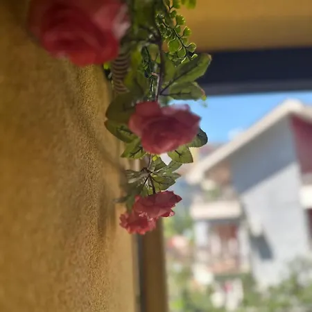 Apartment New Bazaar Area, Modern 1br, Private Parking, Ines *